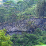 Se presentó un incendio forestal en la vereda La Laja de Rionegro